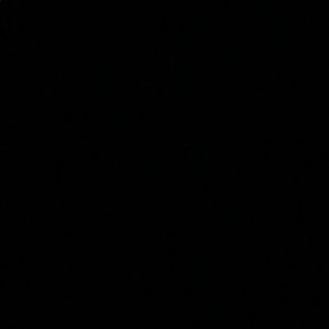 Meet your Posher, Autumn